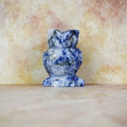 Hand Carved Owl - Sodalite